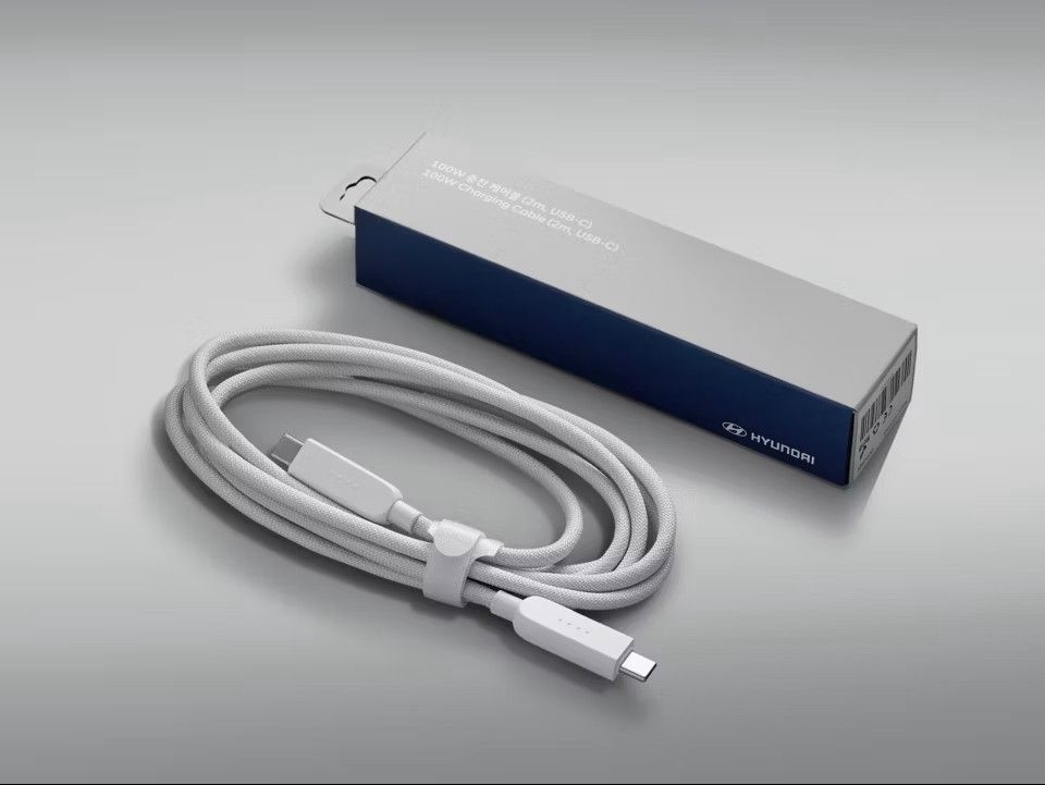 100W kabl za punjenje (2 m, USB-C)